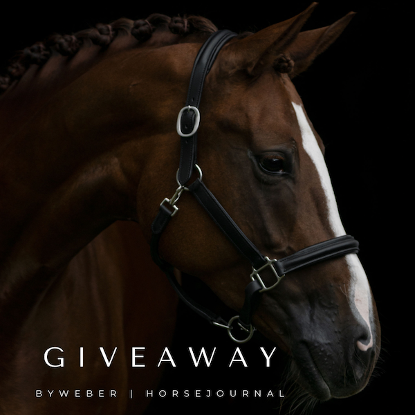 HorseJournal Giveaways oversigt. Billedet viser byWebers Super Soft Grime på en smuk hest. Grimen er præmien i denne giveaway.