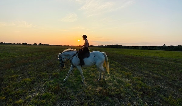 Rytter rider i naturen i solnedgang