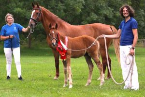 Frederiksborg Hesteavlsforeningen vælger HorseJournal Blog