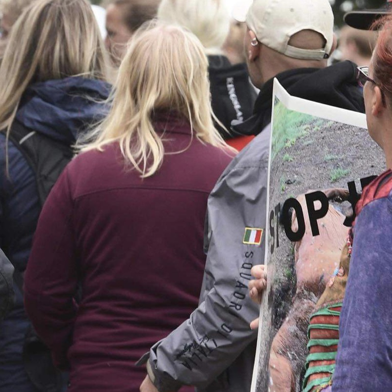 Fra demonstration ved Stutteri Viegaard, Skals Foto Privat