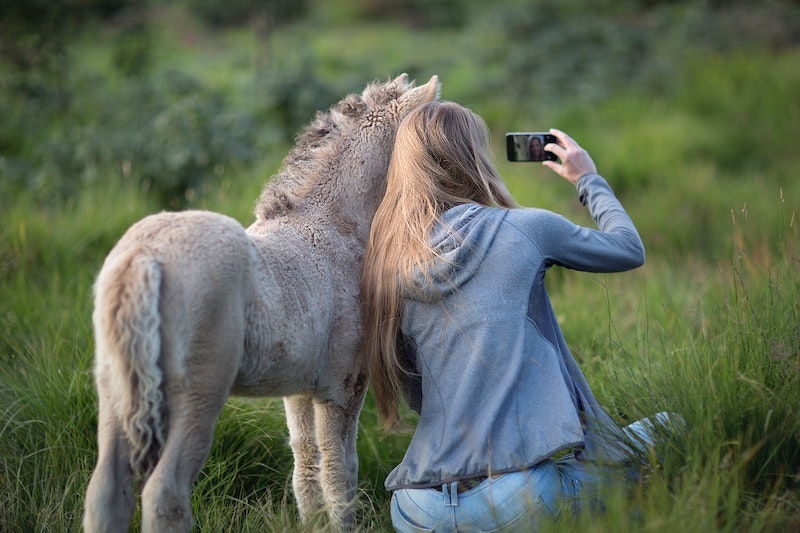 En guide til affiliate marketing og sponsorerede indlæg på HorseJournal blog