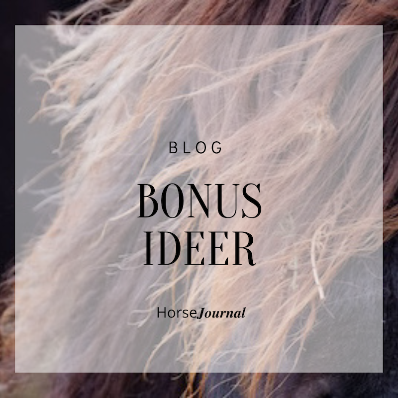 Blog Bonus Ideer