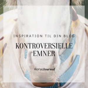 2. Inspiration til din Blog – Kontroversielle Emner