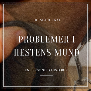 Problemer i Hestens Mund