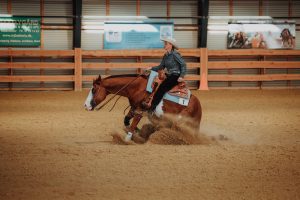 DM i Reining – Resultater