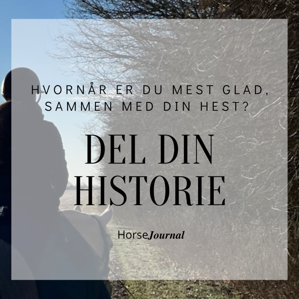 Hvornår er du mest glad sammen med din hest?