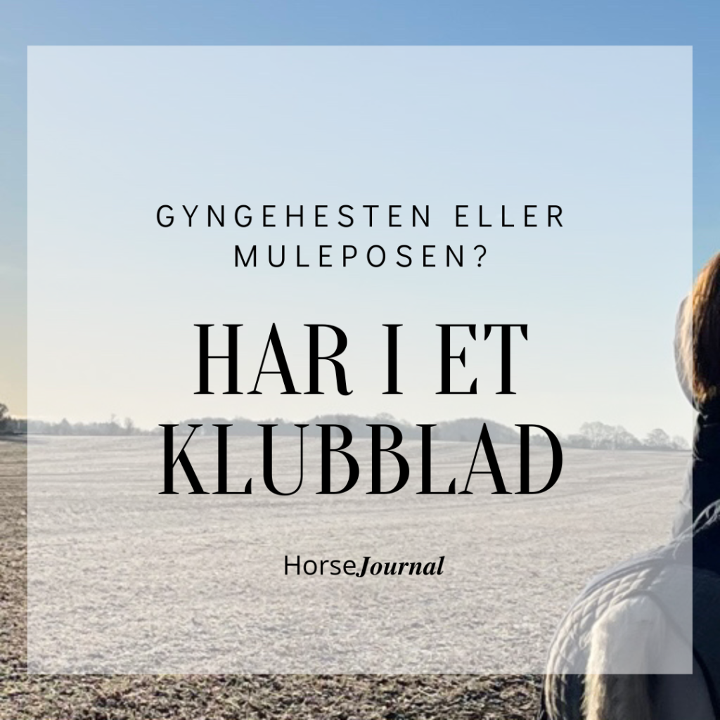 Gyngehesten eller muleposen - har I et klubblad i jeres rideklub.