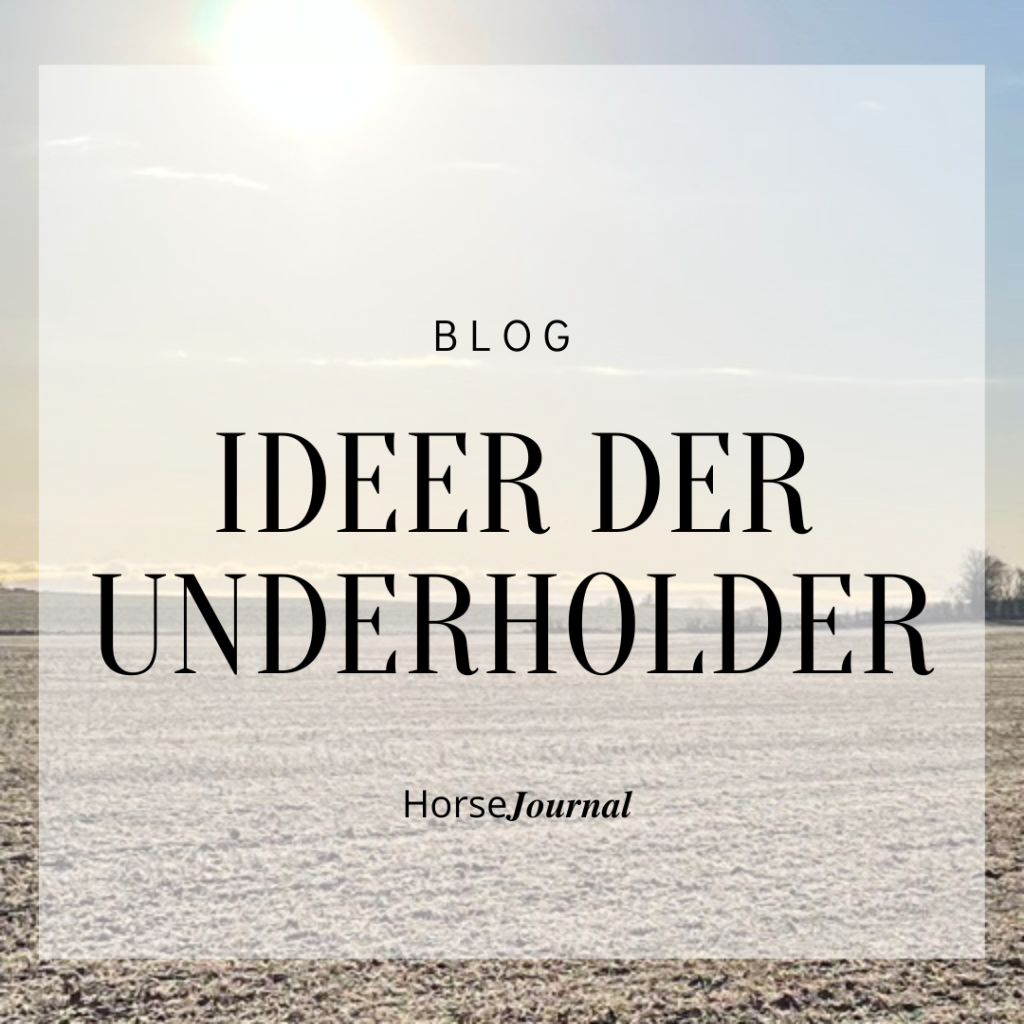 Blog - Ideer der underholder