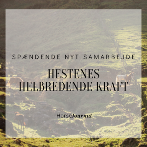 Hestenes Helbredende Kraft