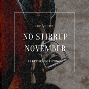 “No Stirrup November” –  Er det stadig en ting?