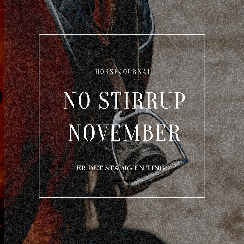 No Stirrup November