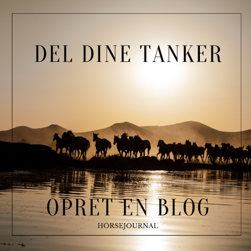 Del dine tanker. Opret en Blog HorseJournal