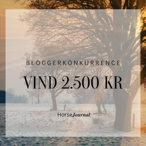 Vinderen er fundet – Bloggerkonkurrence