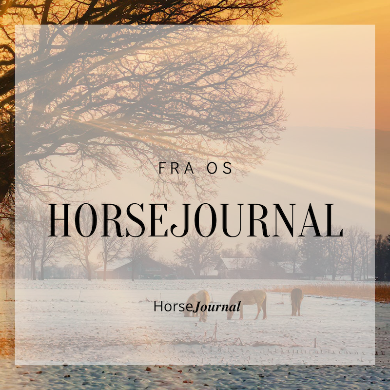 HorseJournal Magasin