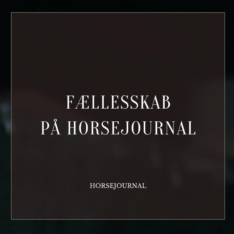 Fællesskab på HorseJournal