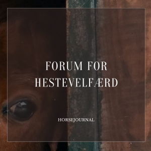 Forum for Hestevelfærd