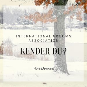 Kender du International Grooms Association?