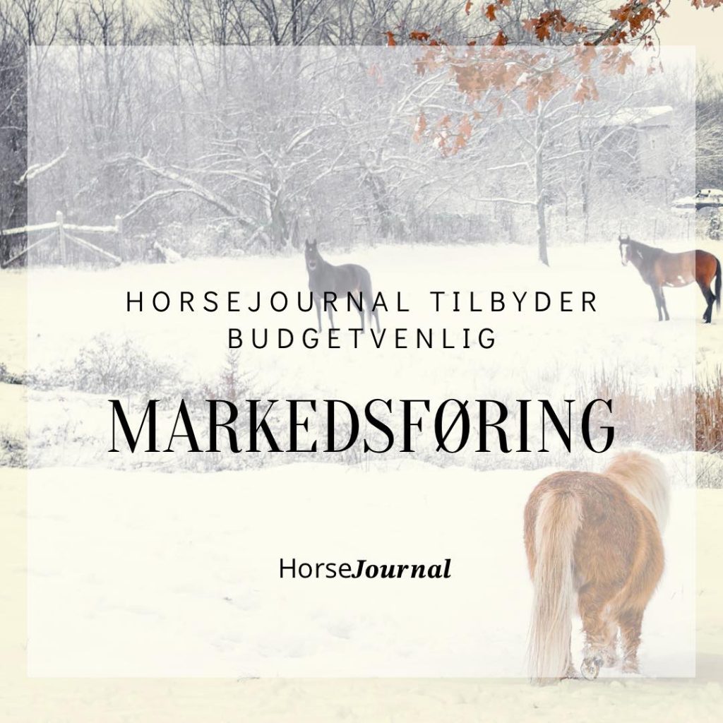 HorseJournal tilbyder budgetvenlig markedsføring.