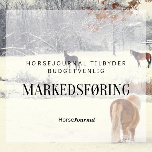 HorseJournal tilbyder Budgetvenlig Markedsføring