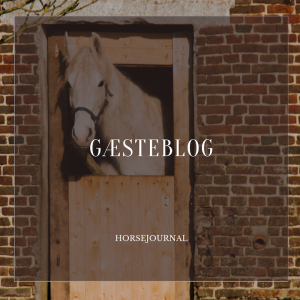 Gæsteblog på HorseJournal.dk