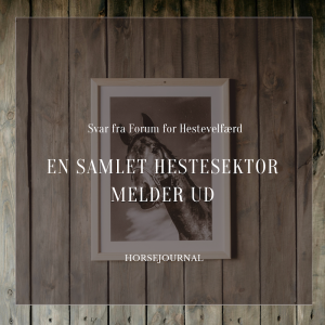 En samlet hestesektor melder ud