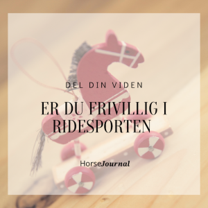 Del din viden – Er du frivillig i ridesporten?