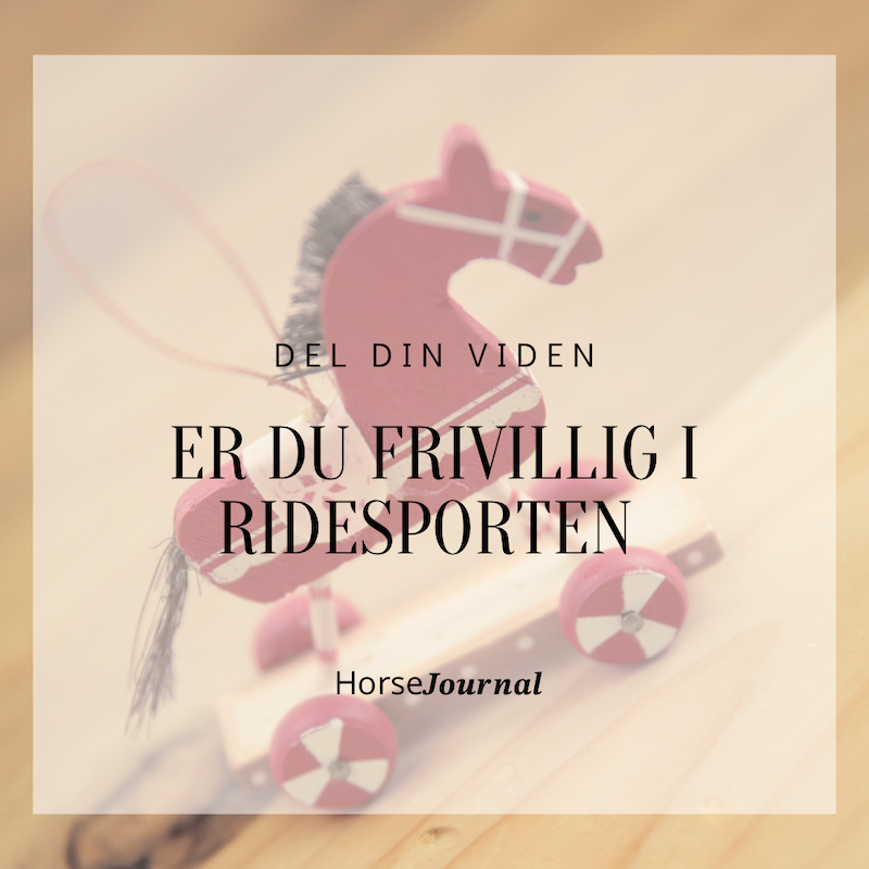 Del din viden - Er du frivillig i ridesporten?