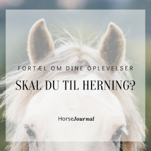 Skal du til Herning?