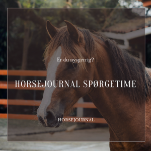 HorseJournal – Spørgetime