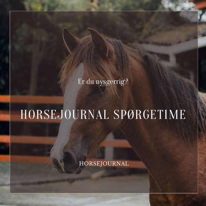 Er du nysgerrig? HorseJournal spørgetime