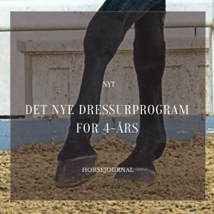 Det nye dressurprogram for 4-års