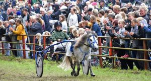 Enestående Hesteevent – Tilmelding Åben