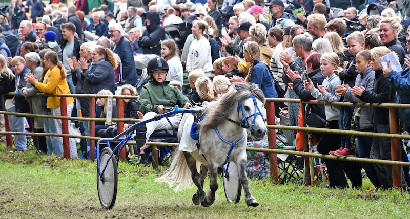 Asaa Hestevæddeløb