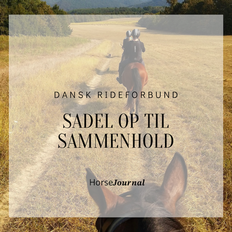 Sadel op til sammenhold