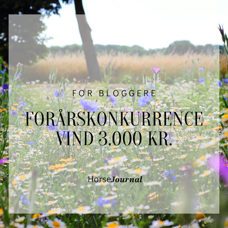 Forårskonkurrence for bloggere