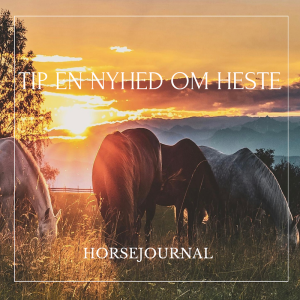 Tip en Nyhed til HorseJournal