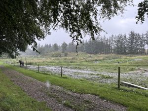 Fordele og udfordringer ved vandrefolde