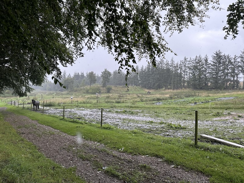 Fordele og udfordringer ved vandrefolde.