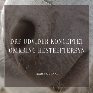 DRF udvider konceptet omkring hesteeftersyn