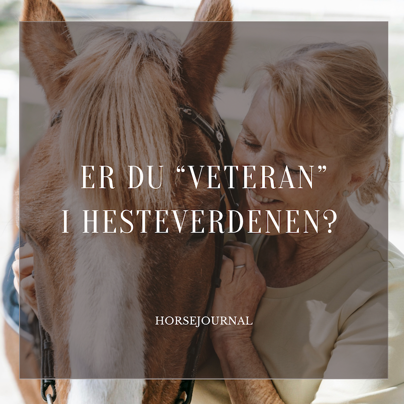 Er du veteran i hesteverdenen?