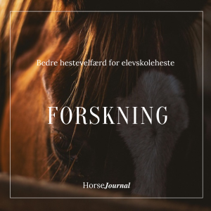 Forskning