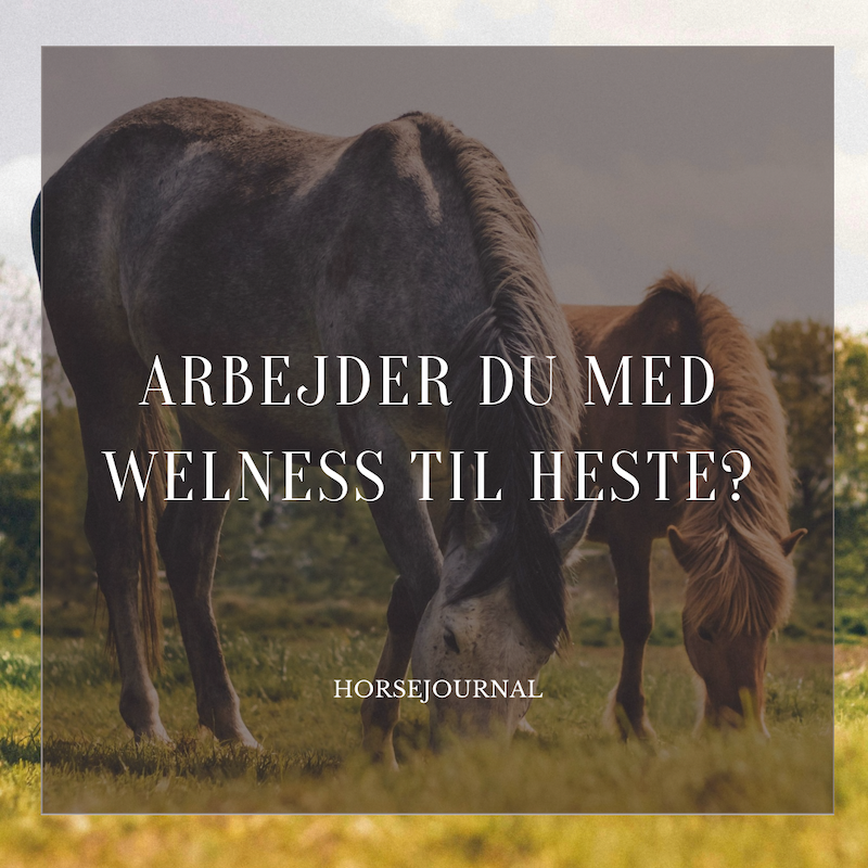 Arbejder du med wellness til heste?