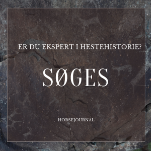 Søges – Er du ekspert i hestehistorie?