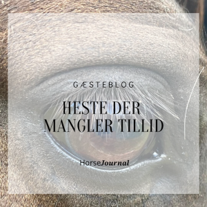 Heste der mangler tillid