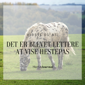 Vidste du at: Det er blevet lettere at vise hestepas.