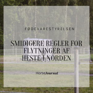 Smidigere regler for flytninger af heste i Norden