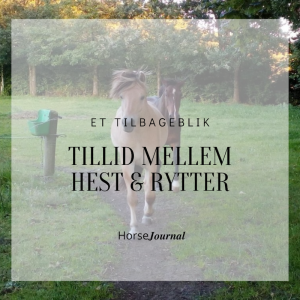 Tillid mellem Hest & Rytter