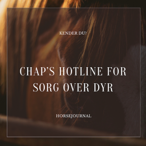 Kender du – CHAP’s hotline for sorg over dyr?