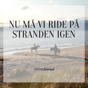 Nu må vi ride på stranden igen