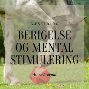 Berigelse og Mental Stimulering